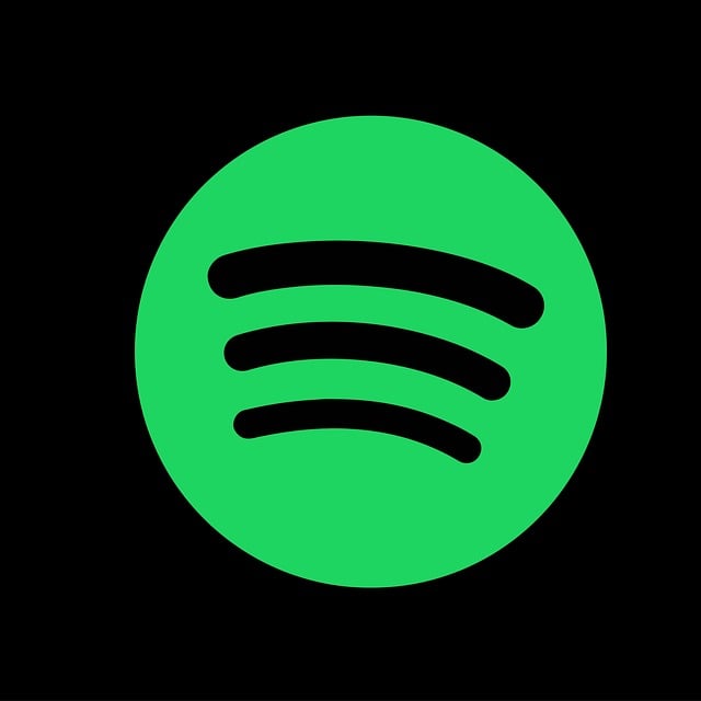 lien Spotify